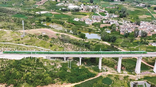 ƽ���F·̎̎��