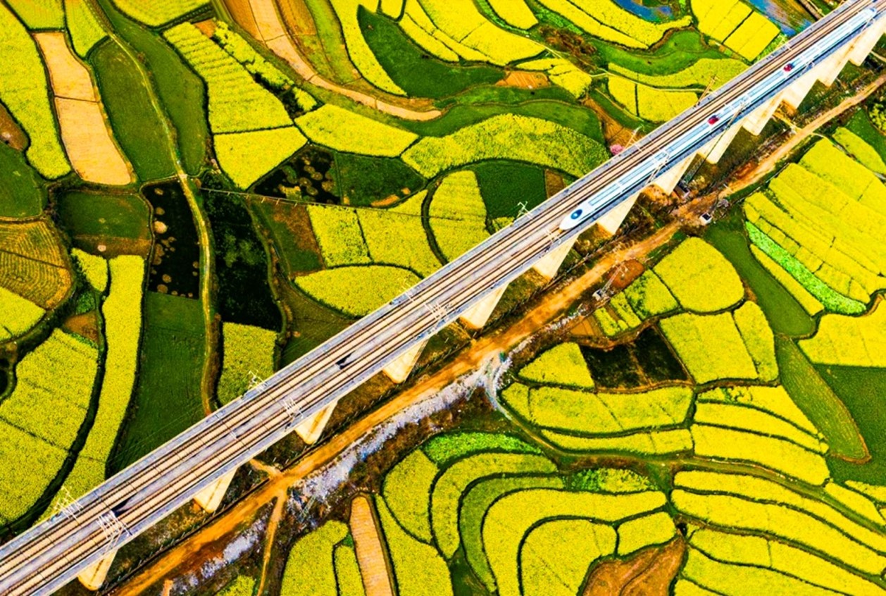 ��܇�ρ���һ���ѻ�