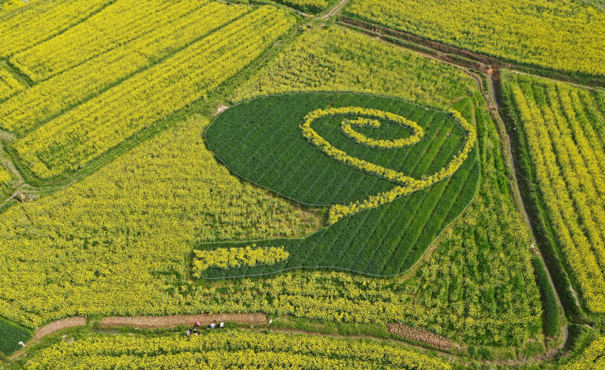 �Ͼ����Ͳ˻��_������