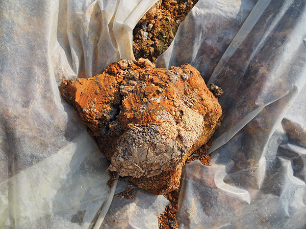 �@Щ���������k��懡����t����(bi��o)����Σ�U�U��HW17���