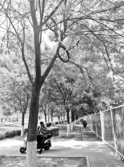 �����܇�������족�Ϙ� ofo׷؟(z��)���y��