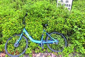 ���ڹ����܇(ch��)�ѳ�53�f(w��n)�v