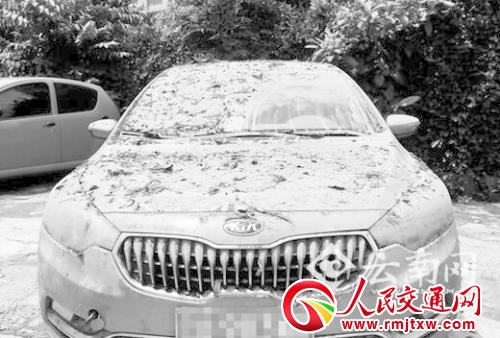 ܇��M������