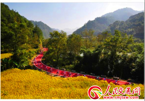 �㽭�ĳɿh���Gɫ��ͨ����ȫ�����ο��ٰl(f��)չ