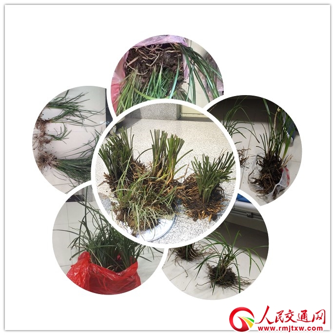 ���ɸ��F�_ͨһ��� ��������F����@Ұ���m�ݽ�ǧ��