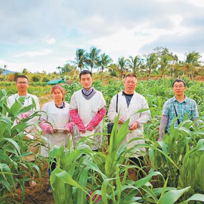 �oՓ��Δ�(sh��)��(j��)���ܔ�