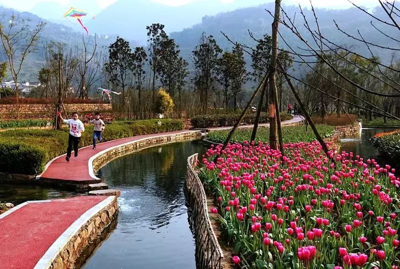 �������_�� ��ֱ��Ҫ̫��