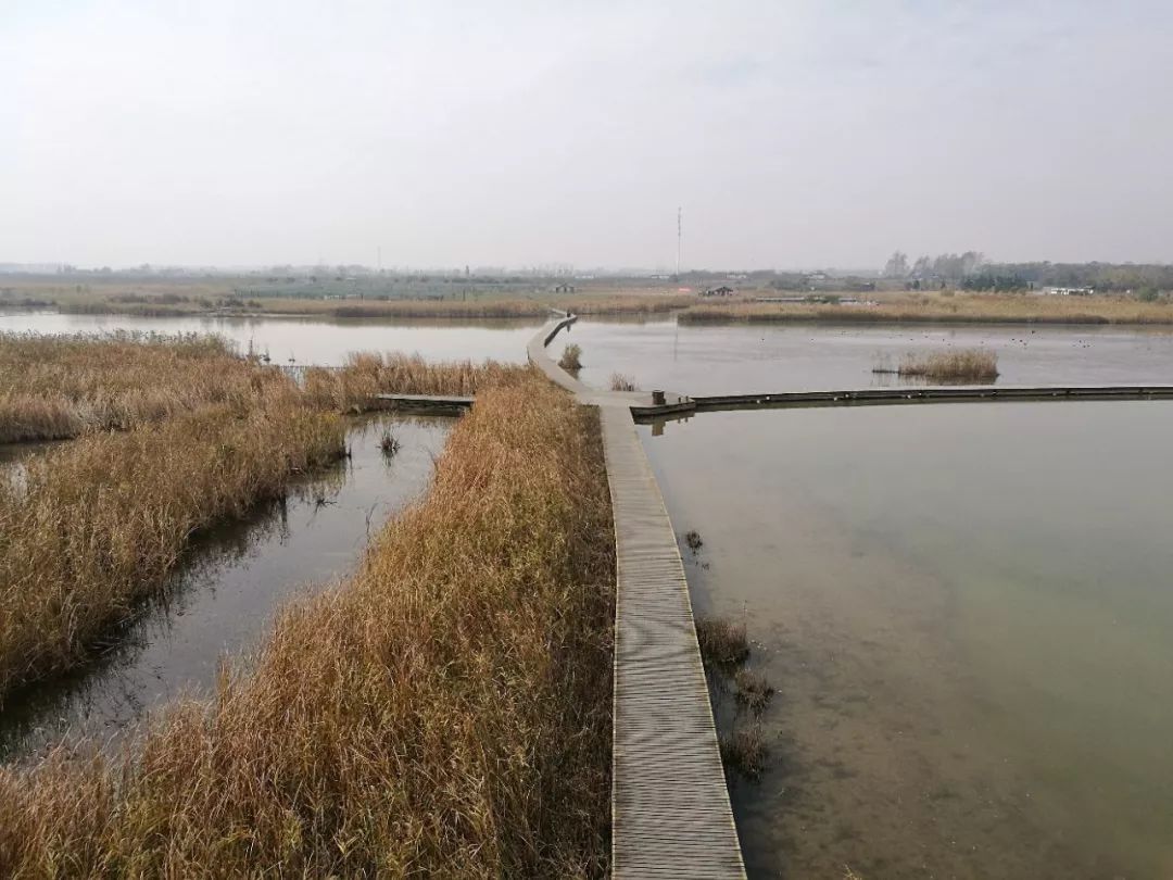 ����ȥ���� ����Q������B(t��i)���@