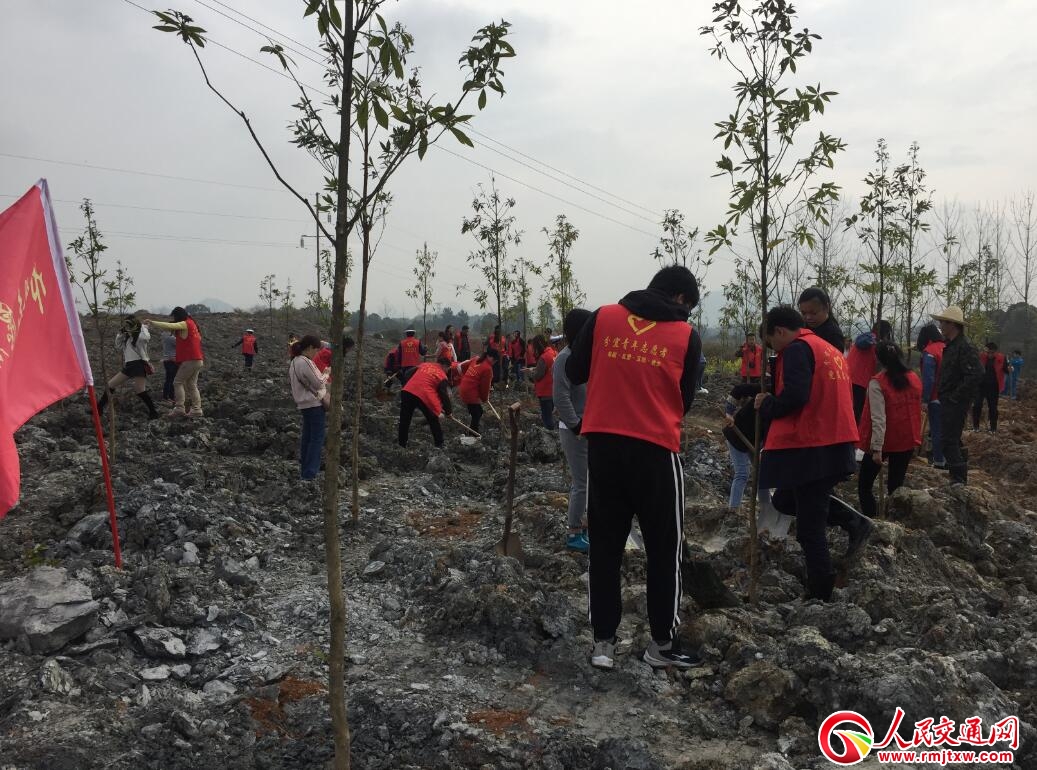 �������˹�·�־օ����x��(w��)ֲ��(sh��) ������(chu��ng)��ʡ��(j��)ɭ�ֳ���