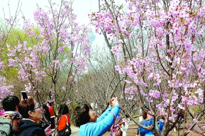 3000����ѻ�����m(x��)�`�� ��Y̶����5G�����p��