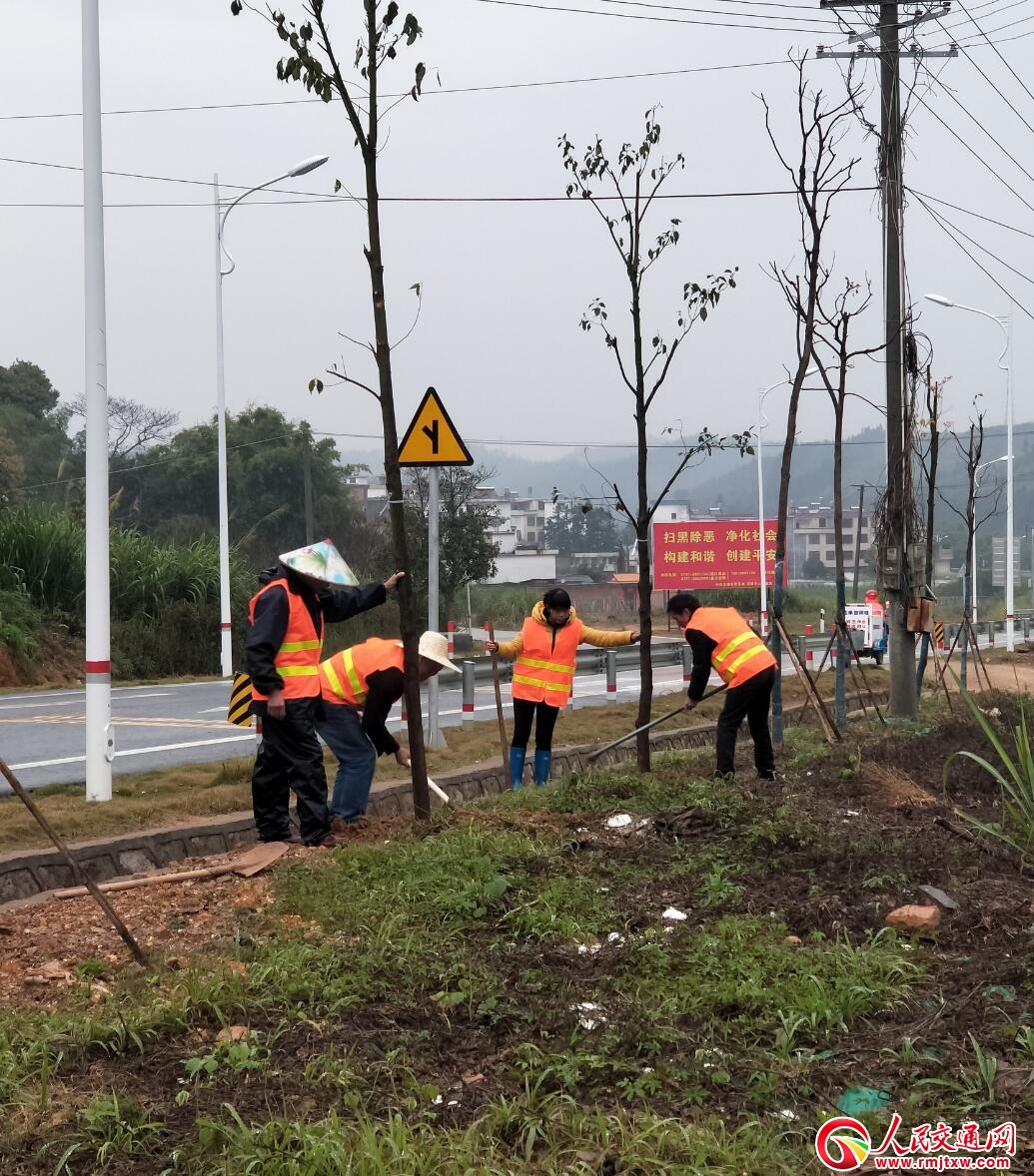 ����������·�־֣��(y��ng)������ ���N�Gɫ �e�O�_(k��i)չ������·�G������