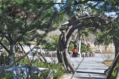 ���걱������283����G��