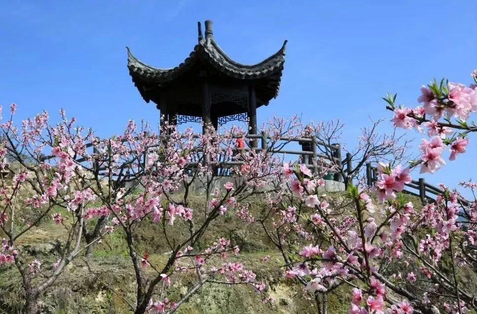 ȥ���ﱱɽʯ�X�^ ���p�t������һĨ��ɫ