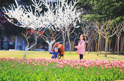 ʮ�f����������n����