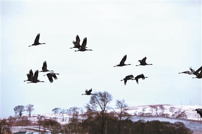 ���Ϻ���D��ع��@�ɺ��B����