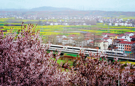 ��ͨ���Ƹ��|(zh��)���l(f��)չ