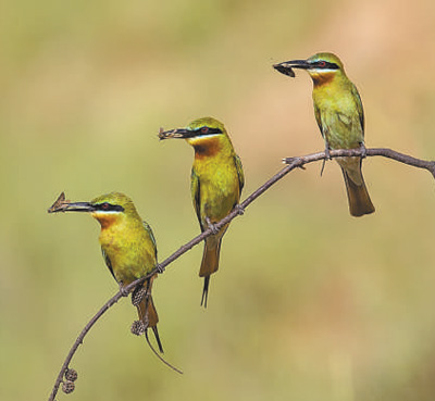 ���o���B(t��i)�h(hu��n)�� ���O(sh��)�����Ї�