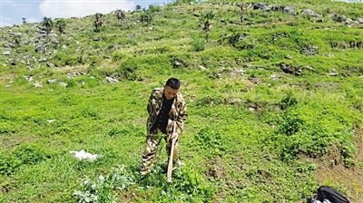 ���������Ӣ�� 400����ɽ׃��ɽ