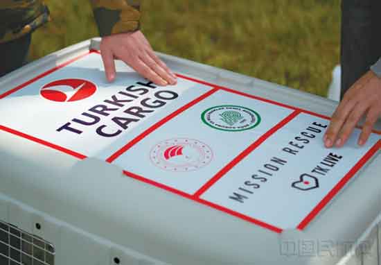 �����亽��؛�\(y��n)���o(h��)�͞lΣ�W��أ���ؼ�