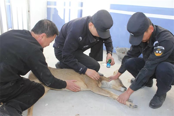 ���ɹ��F��ɭ������ �������Ҷ������o��������