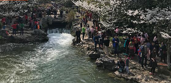 �����г��(zh��n)��ˮ̎��S��ΰl(f��)�� �V����Ҏ(gu��)�@���f