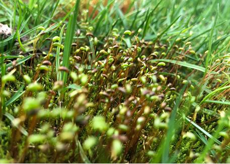 �������ߺ�ط�֧���wϵ���R����(zh��n) �h(hu��n)���a(ch��n)�I(y��)��Α�(y��ng)��(du��)��