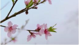 �t(y��)����ˮ���̎��������ɽ����ɽ�t(y��)Ժ�@�Ӱ��}֧��