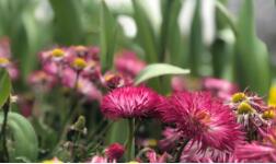 ��δ_��������ȣ�MLSS���������@ƪ������Ͷ��ˣ�