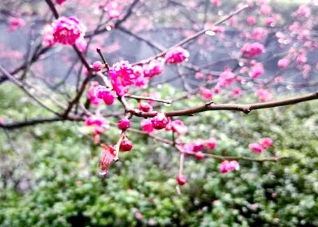 �h(hu��n)�l(w��i)�U(ku��)������һ�������@�־G���B(y��ng)�o(h��)���Ј������з���