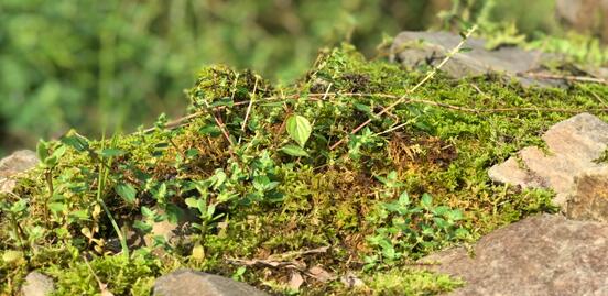 ����֮�� ��μӏ�(qi��ng)�t(y��)����ˮ�ͳ��(zh��n)��ˮ�ıO(ji��n)����