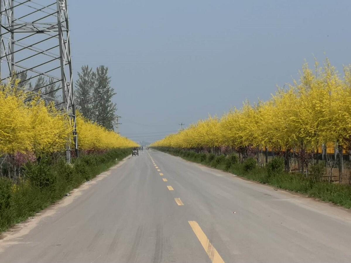 ����ͨ�P(gu��n)ע|�ӱ�κ�h���e�O̽���r(n��ng)�幫·���o(h��)���w��������ȫ�h�l(xi��ng)�����d