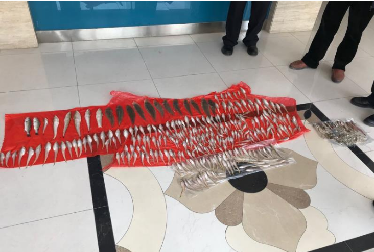 ǰ�_ˮ�ϲ��W(w��ng) ���_���뷨�W(w��ng)