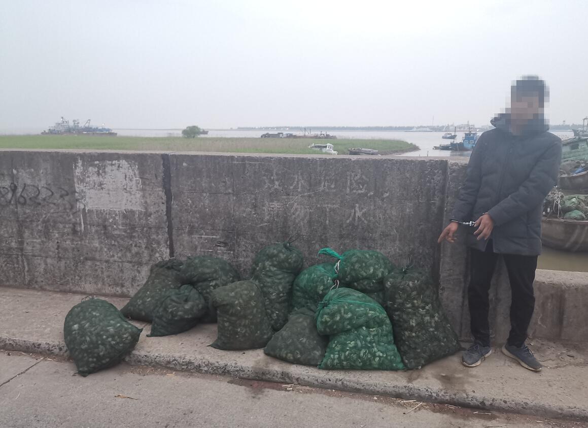 �L(zh��ng)�����\(y��n)�������Ϻ��־ֲ�@�Ƿ��O�@��2700���