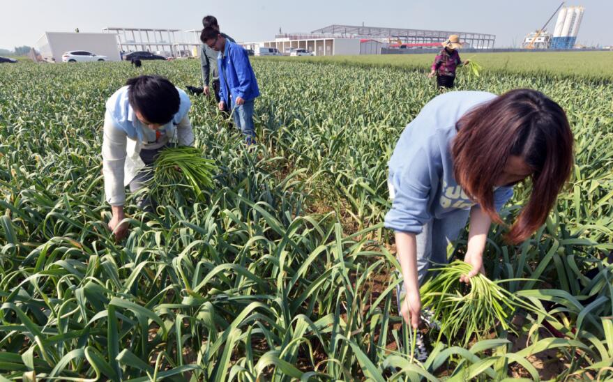 ���F�Ϻ��������F·�Ŀ���e�O�������������޷