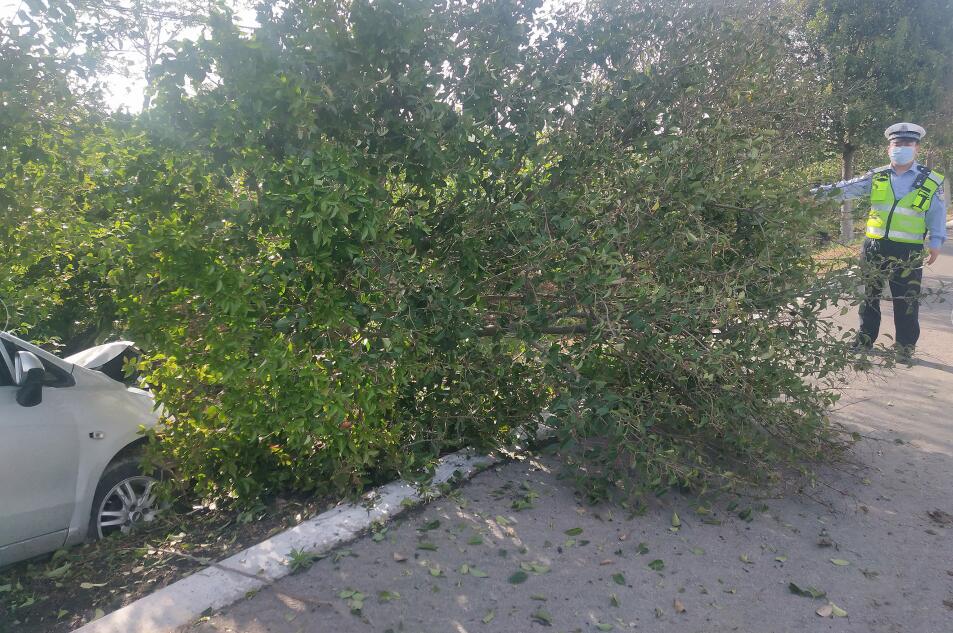 ɽ���R⢣�˾�C����ԡ� ײ���е���