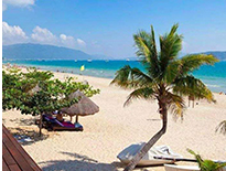 ����ʡί��ӛ�����ϵ�2030�겻���N��ȼ����܇