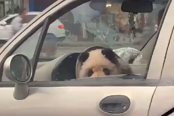 �Ĵ���ɽ���^�ޡ���؈������ ���e�����{���