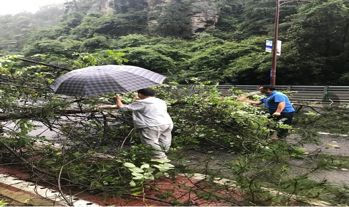 ����ͨ|���Ϗ��ҽ罻ͨ�\ݔ�֣�ȫ���^��(zh��n)������  ���r���U����ͨ