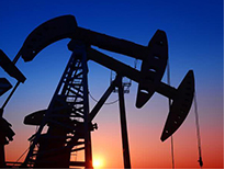 ԭ���M���ɽ��D(zhu��n)�� 5���M��ԭ��ͬ����19.2%