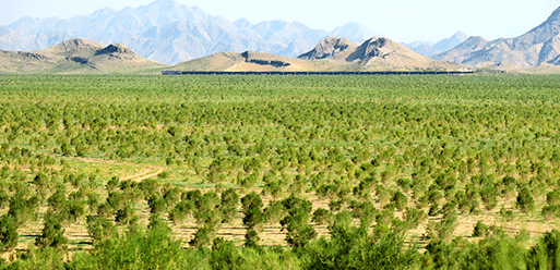 ʮ���塱�ԁ��҇���ɷ�ɳ��ɳ�΄�(w��)880�f���