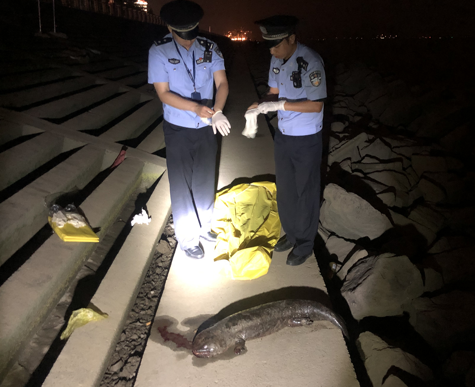 ����ͨ|���������~ʬ�F(xi��n)���L���ڌ�ɽˮ�� ��Ѹ������̎��