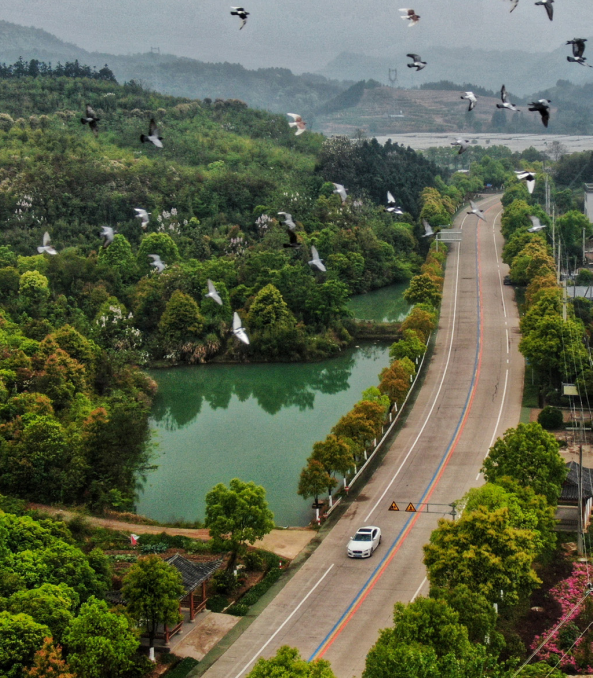 �ġ����y(t��ng)�������򡰬F(xi��n)���������D(zhu��n)׃