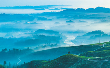 ��������_���r(sh��)��