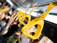 ���w���m�M���������������ͨ����