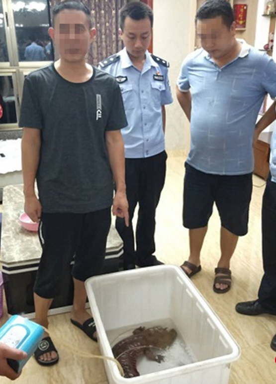 ���������L(zh��ng)�������L(zh��ng)�����������ɳ��� �ɹ�����Ұ�������~