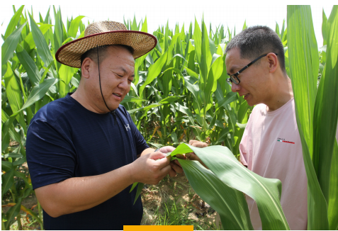 ��(n��i)�ɹţ��������Óؚ·