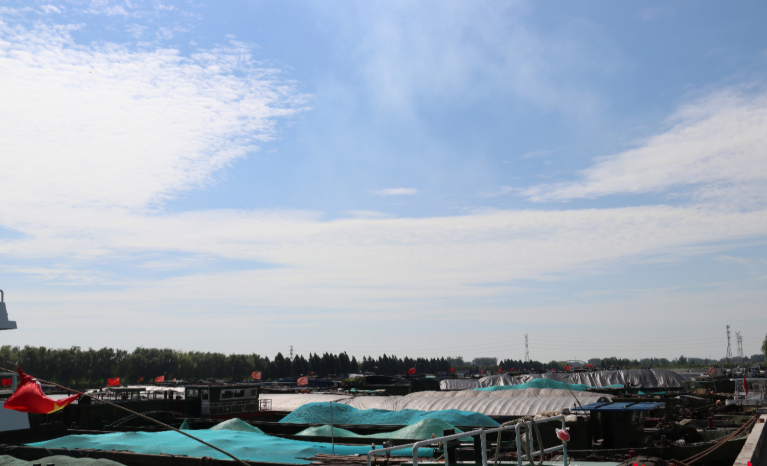 �B�Ƹ����ʺӴ��l�_չ������Ͱ�ȫ־Ը����(w��)���(d��ng)