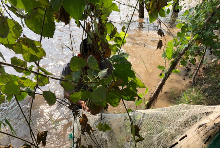 ��h�����O��(li��n)�ψ�(zh��)�� �������ηǷ�����