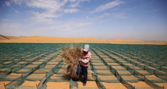 ɳĮ��·��ֲ�G�ˡ�