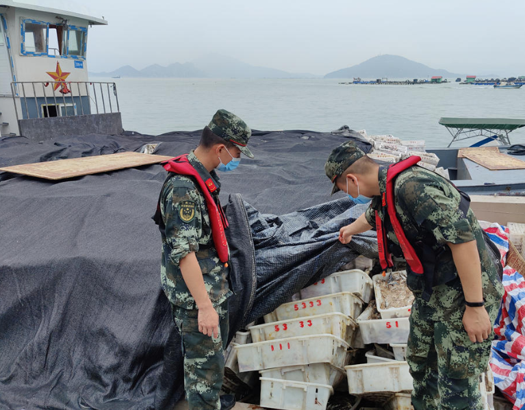 �����������k�`�����ư�79�� ��۝O�@��s20�f(w��n)����